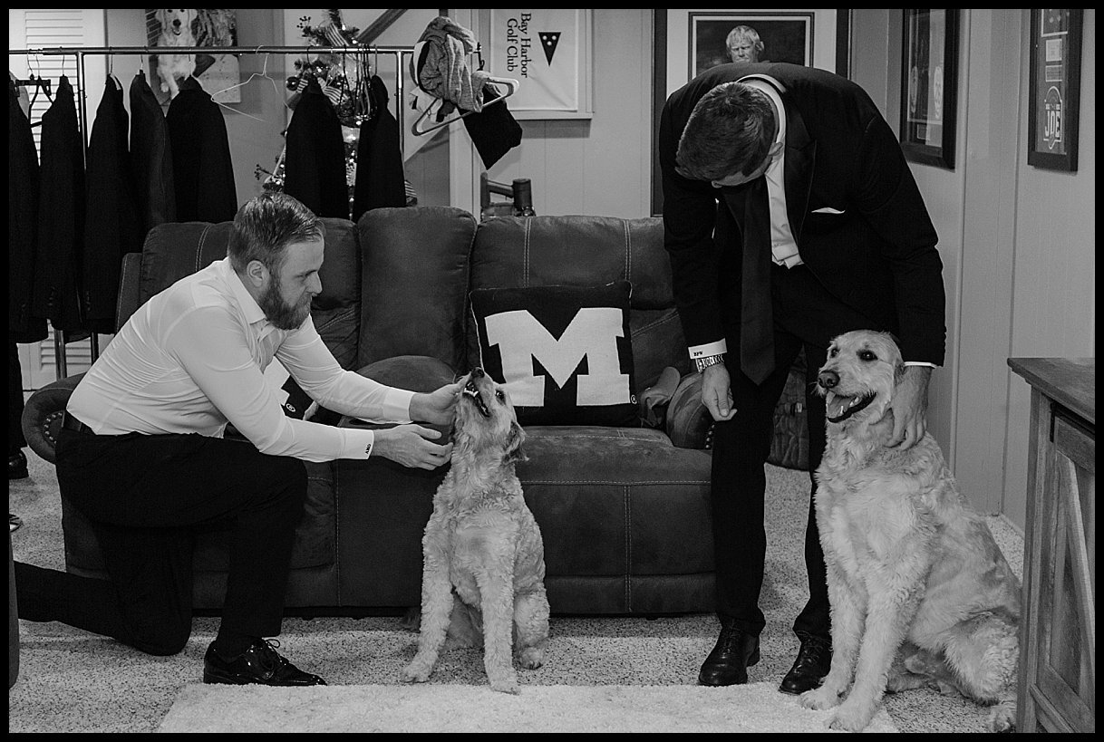 The groom and his groomsmen getting ready on the wedding day with two dogs at his side.